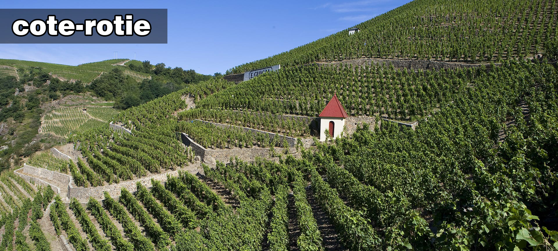 Cote Rotie丨羅第丘丨Wine Couple 醇酒伴侶