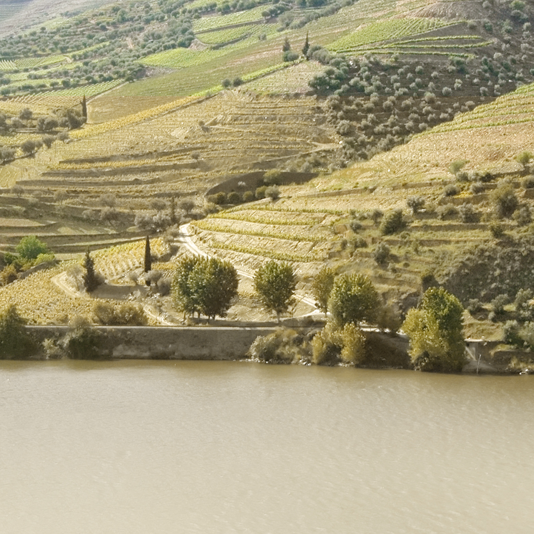 頂級香水,訂製香水, Miller Harris, Lyn Harris, CLAUS PORTO, 馥奇, 大地印記, 海地香根草, 文明的野性, 紅洋葵, 寧靜時刻, 金色香松, 富裕莊園, 幸福桔橙, 曙光, 清新檸檬, 狂野香韻, 白茉莉