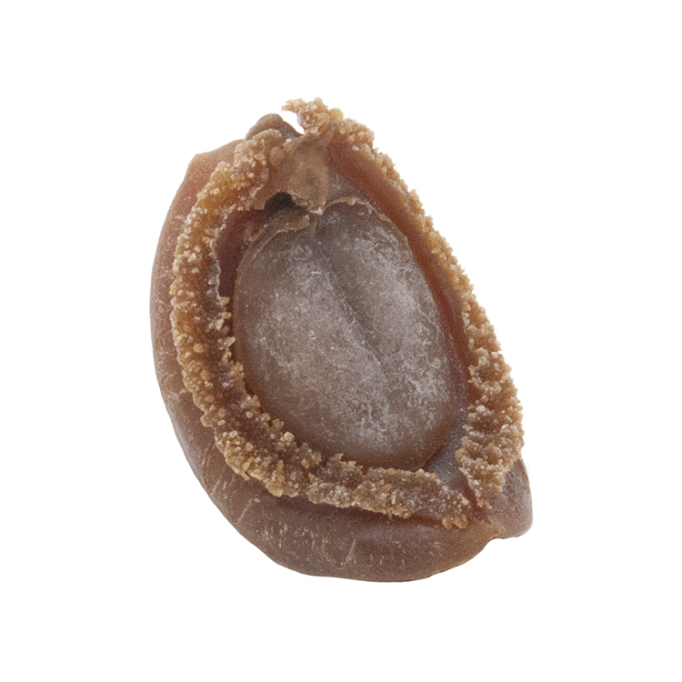 43-45 頭日本吉品鮑