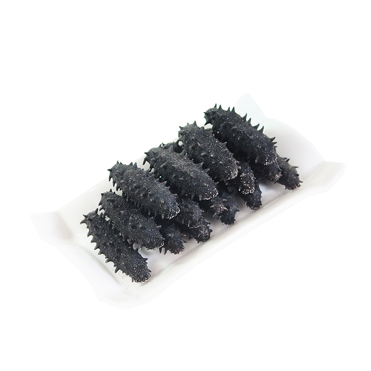 35 50支 斤日本標津關東刺參