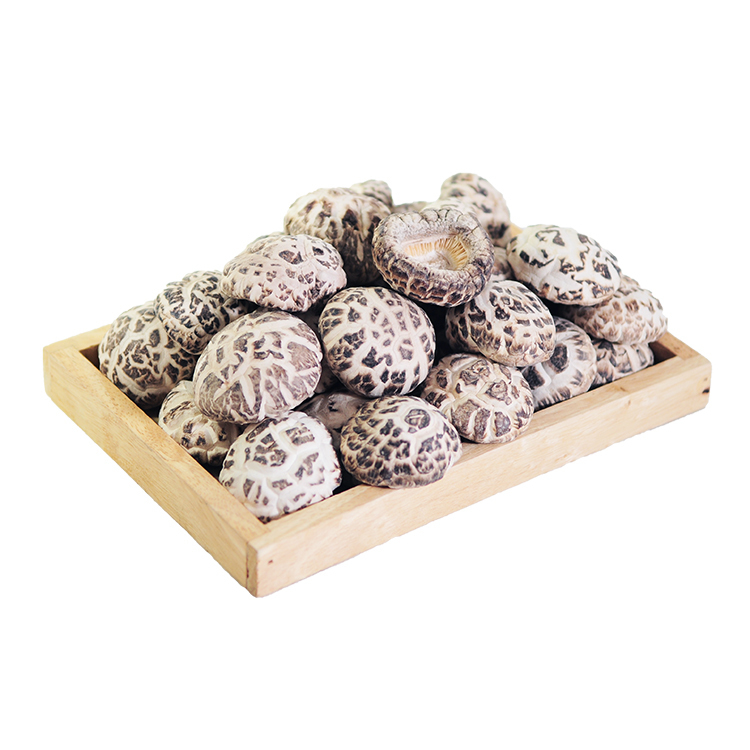 厚花菇