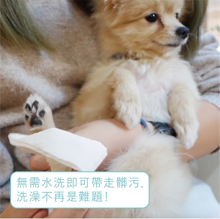 防御工事 T-FENCE Hururu 防御工事 柿單寧 順毛 寵物 乾擦澡 乾洗澡