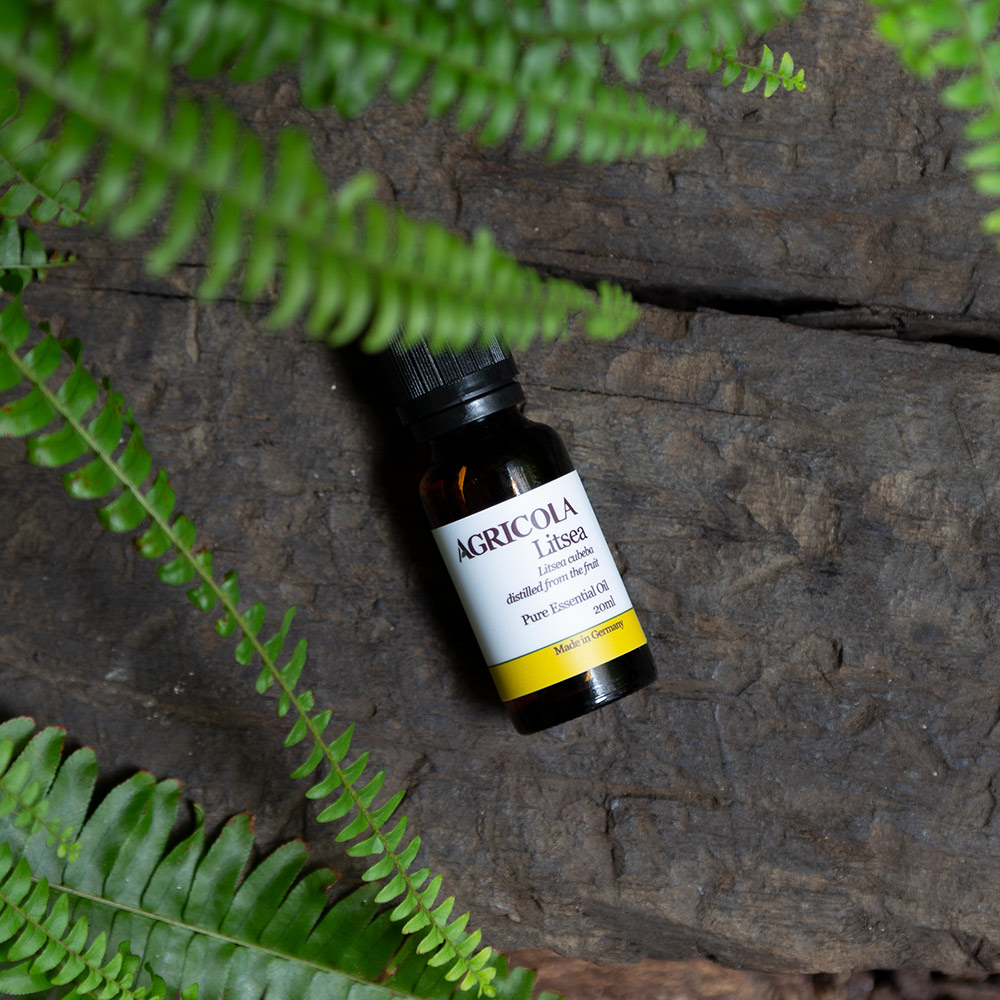 山雞椒精油-20ml