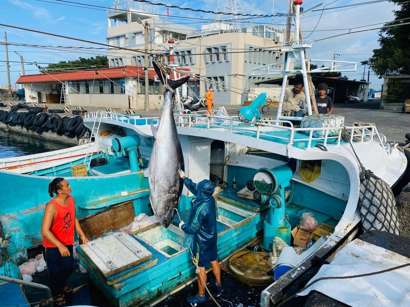 部落格-黑鮪魚季開跑嘍