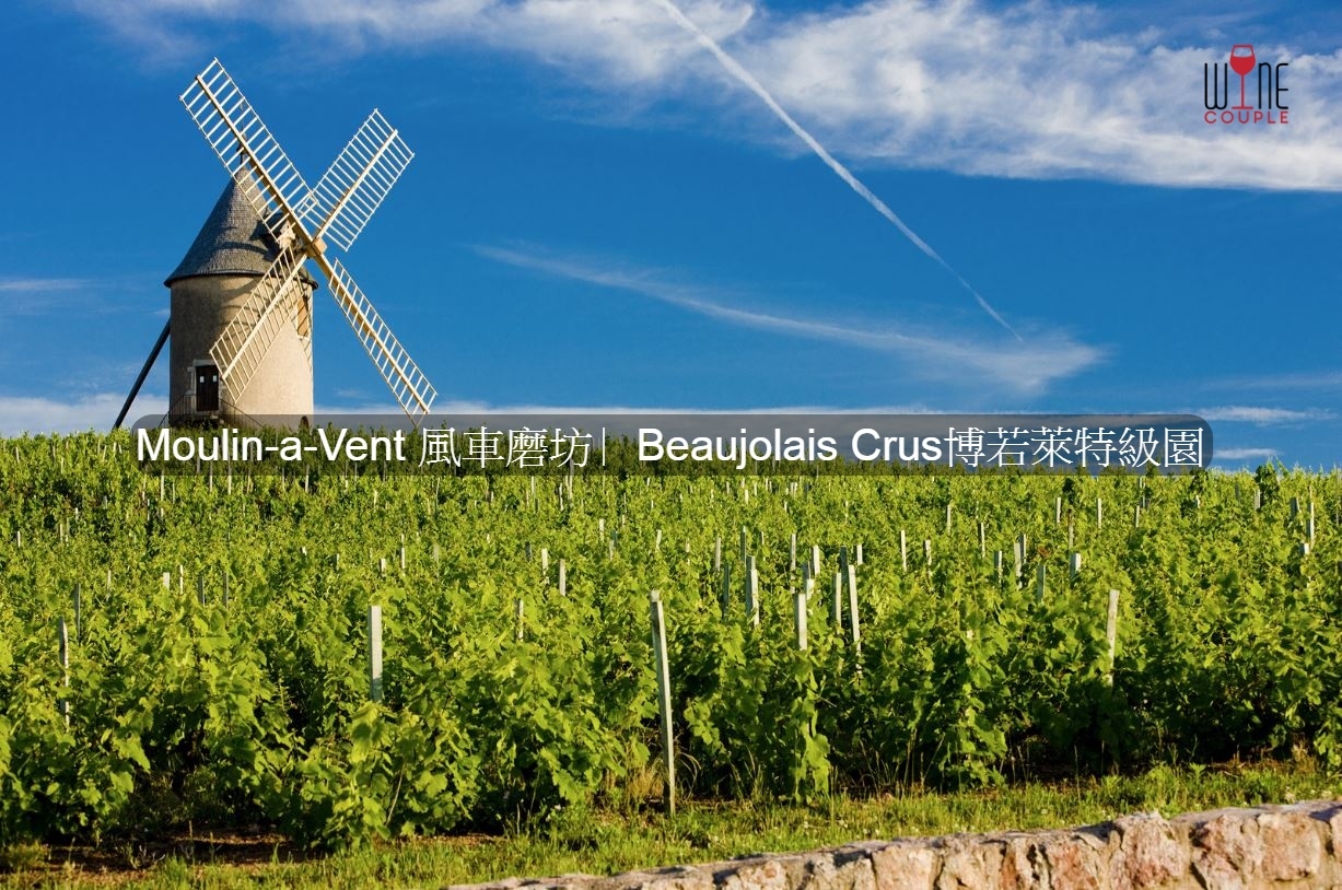 Moulin-a-Vent 風車磨坊