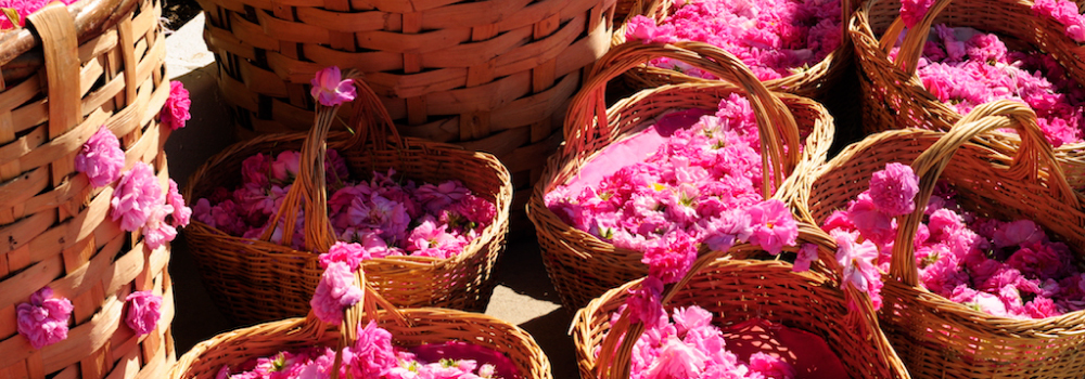 Le Mont Botanique 沛柏 保養用品推薦