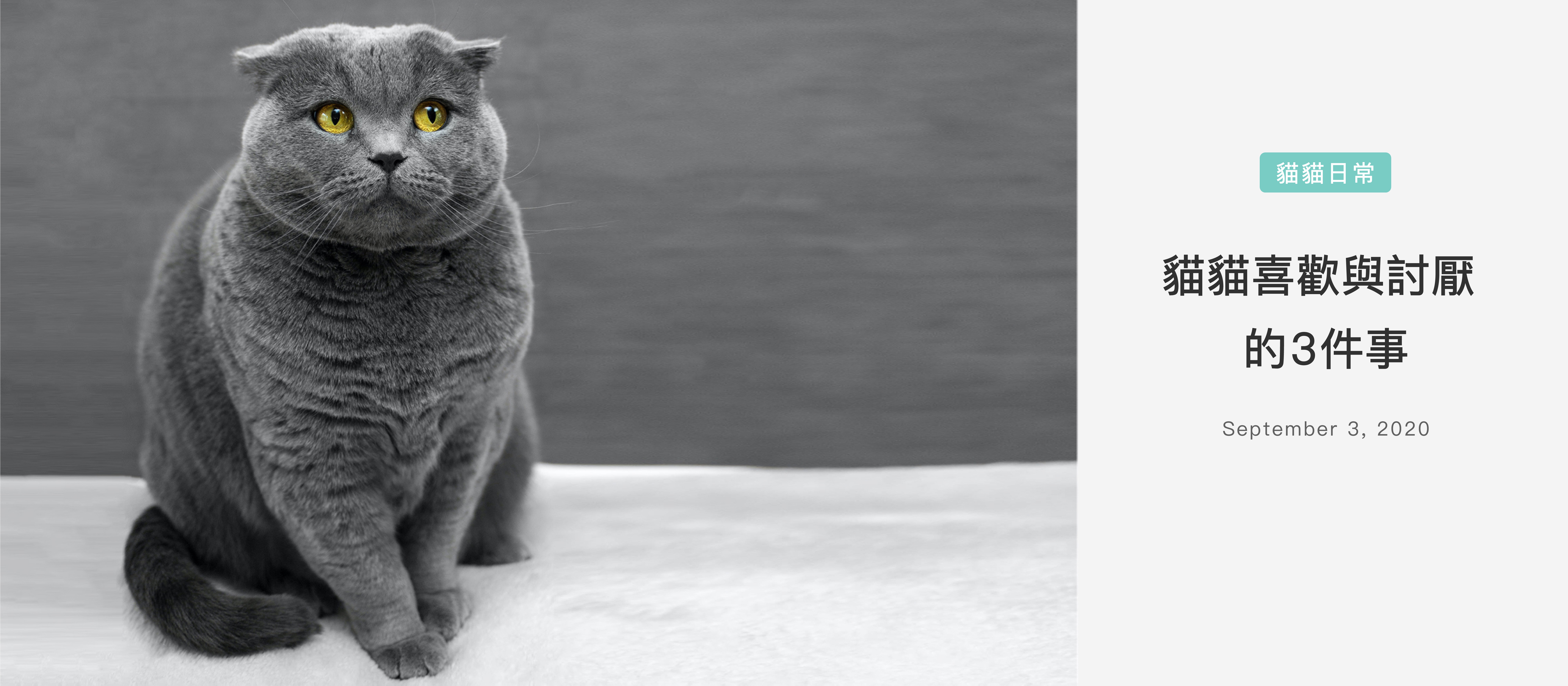 香港寵物鮮食,寵物鮮食,寵物鮮食訂購,Fresh pet food,hong kong fresh pet food,hong kong pet food,健康狗糧,健康貓糧,狗狗鮮食,貓貓鮮食,營養高寵物糧食,香港製造寵物鮮食,狗狗鮮食包香港