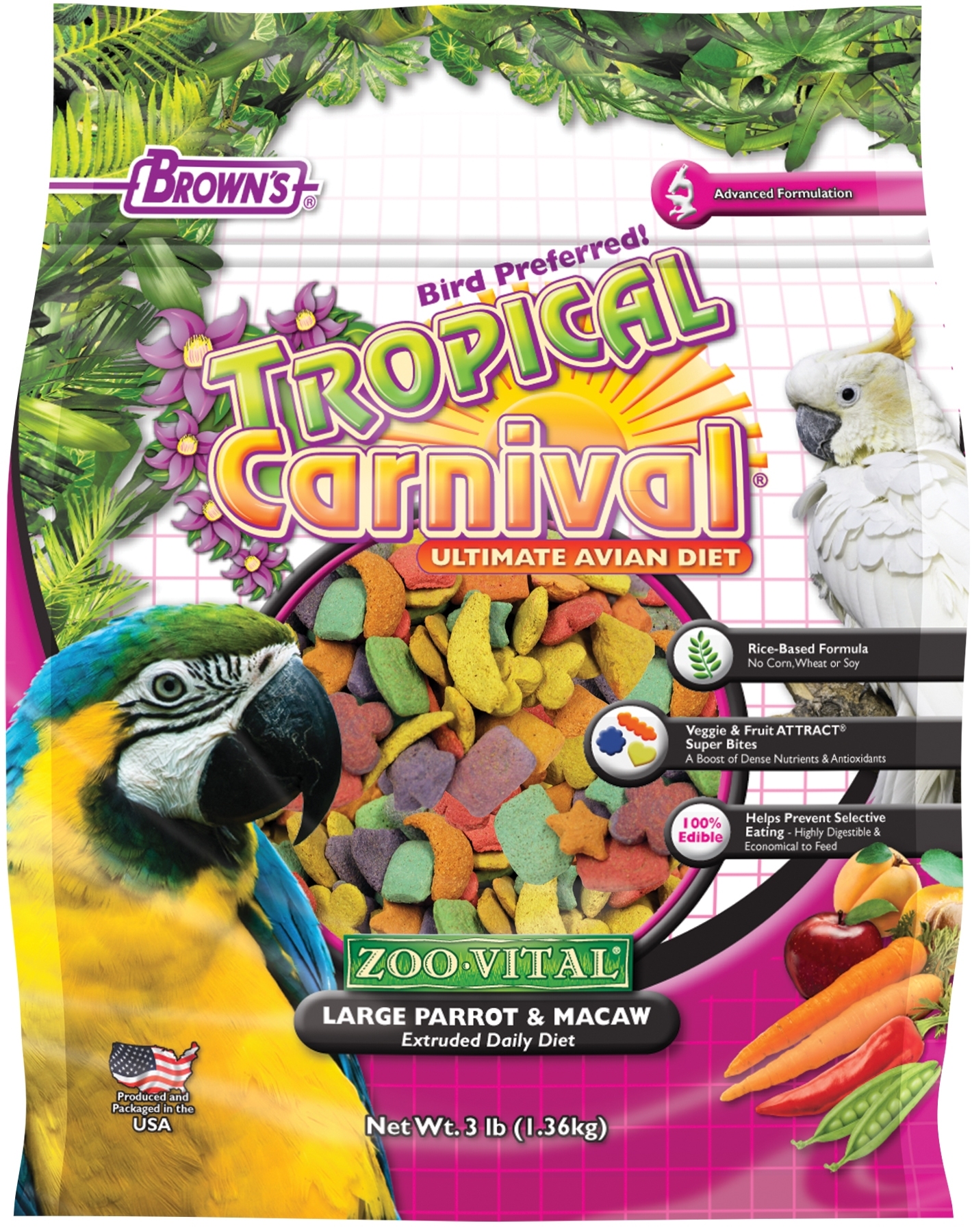 Tropical carnival parrot store food