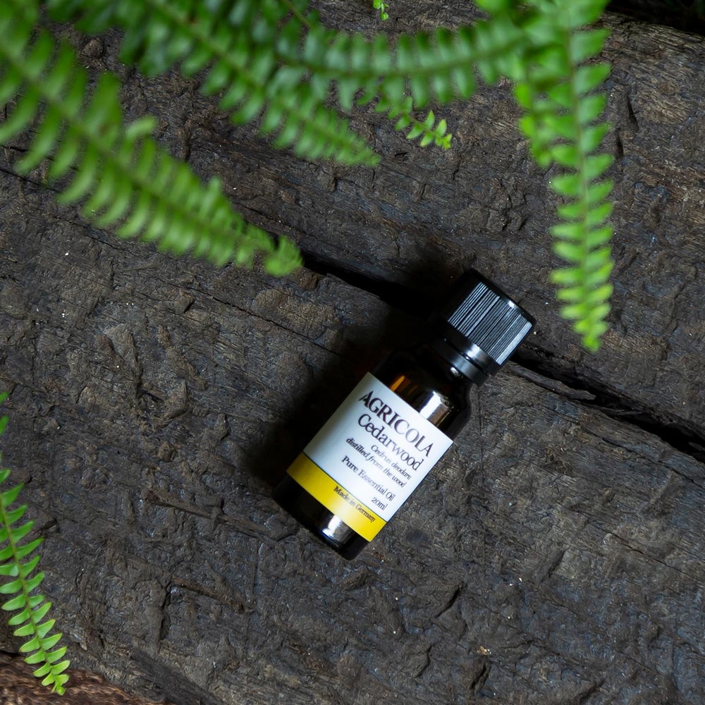 喜馬拉雅雪松精油-20ml