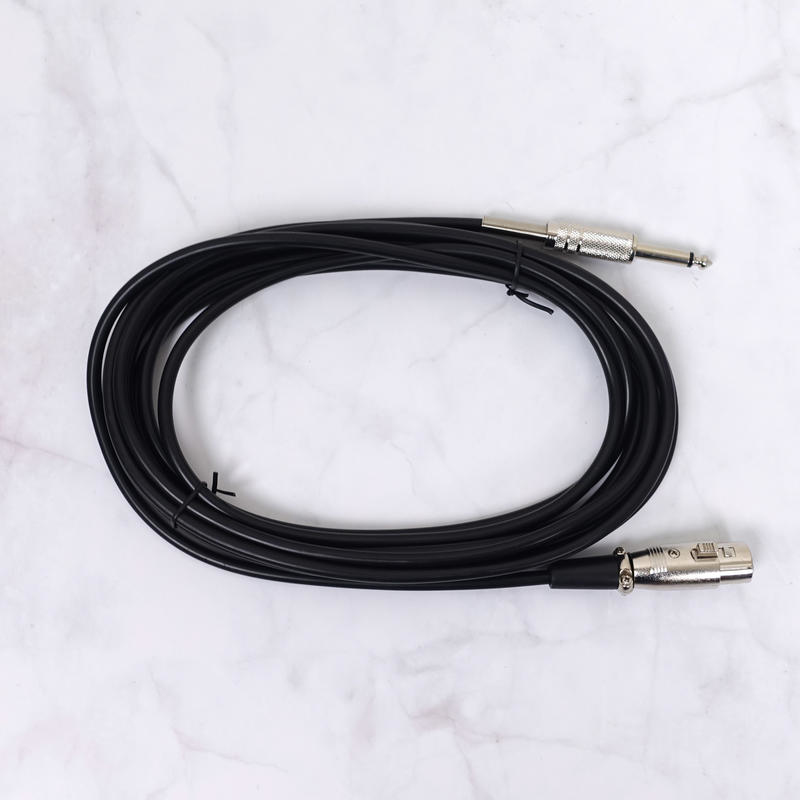 JTS AT-900 有線麥克風 手握動圈式 AT900 Mic