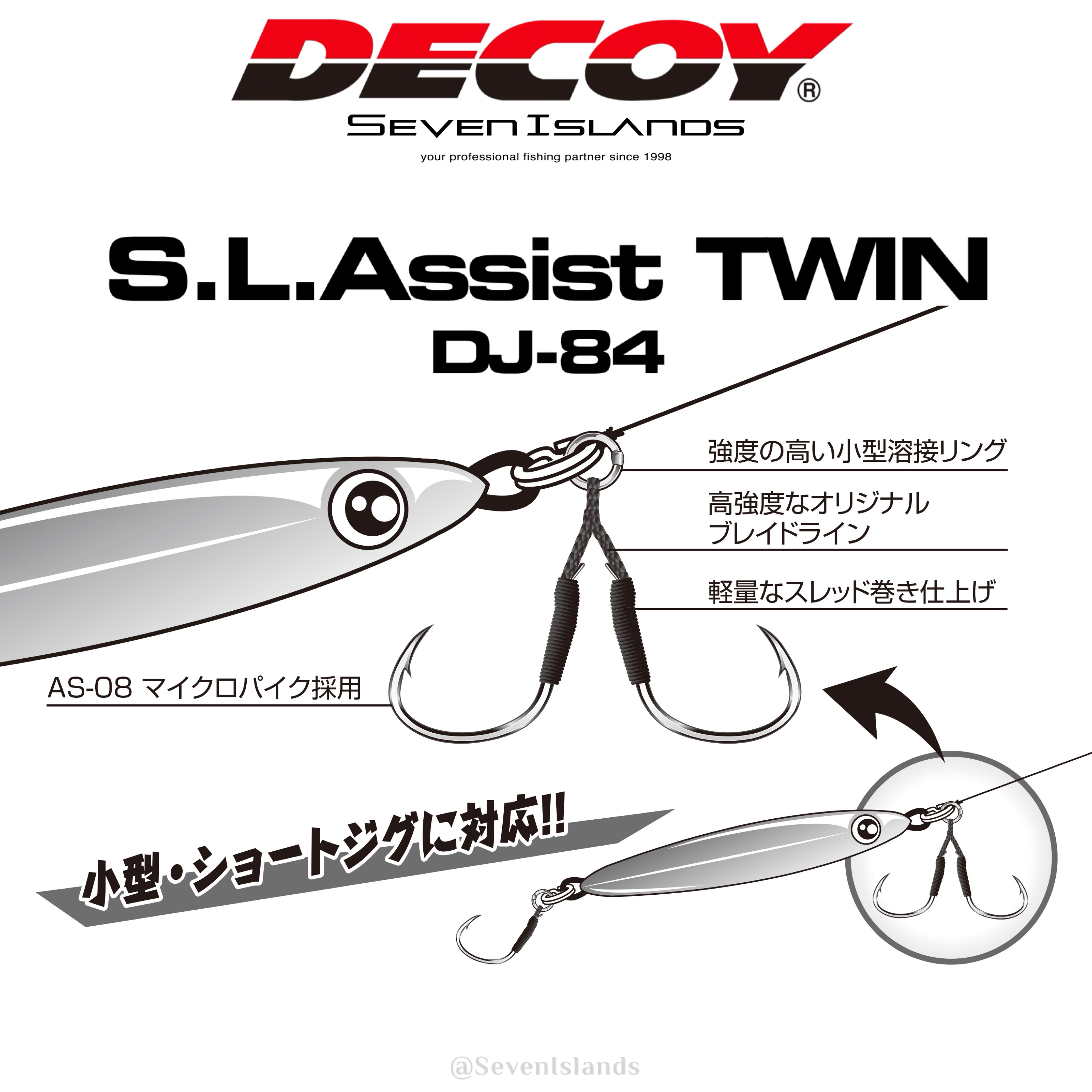 DECOY S.L ASSIST TWIN HOOK DJ-84