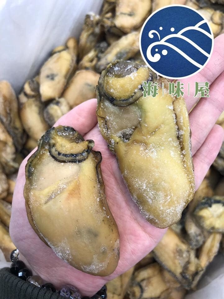 10A金蠔王 (約18隻)