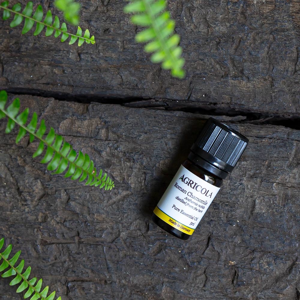 羅馬洋甘菊精油-5ml