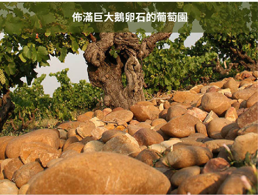 茱麗葉四月酒莊