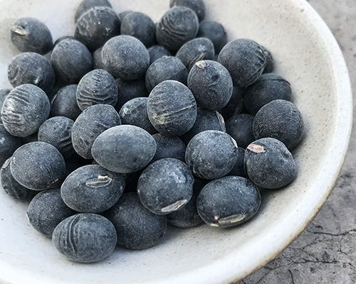 改善頭髮營養的食物：  黑豆含有的各種抗氧化成分、維生素E、卵磷脂。  促進血液循環，新陳代謝，活化生髮細胞，舒緩疲勞情緒，防止及改善白髮、脫髮情況