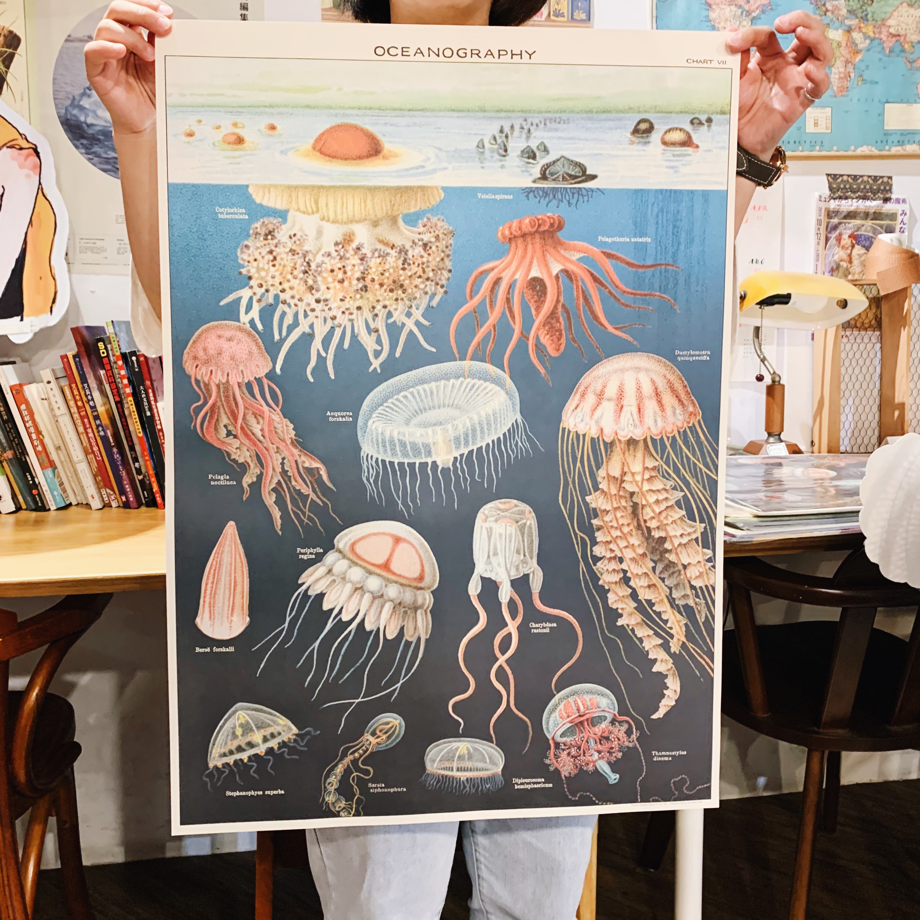 水母 包裝紙/海報 ｜美國 Cavallini & Co.