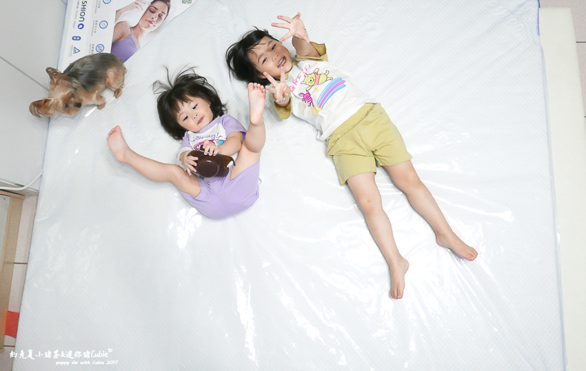 約克夏小豬茶&嘴邊肉女孩