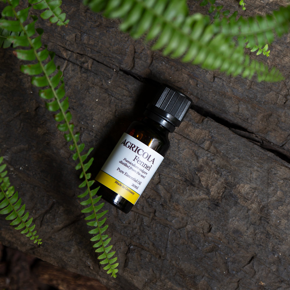 甜茴香精油-20ml