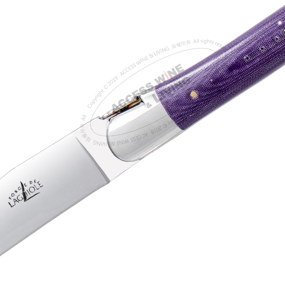 FORGE DE LAGUIOLE | 紫色耐力纖維握柄2件餐禮刀盒組 [ 適用洗碗機材質 ]
