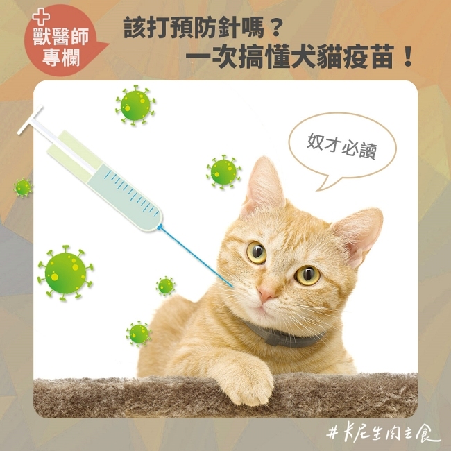 預防針,預防注射,VAS,佐劑,狂犬病,三合一,五合一,十合一,疫苗,核心疫苗,非核心疫苗,貓白血病,貓愛滋,萊姆病,支氣管炎,犬瘟,貓小病毒,貓皰疹,卡里西病毒,死毒疫苗,減毒疫苗,活毒疫苗,不活化疫苗