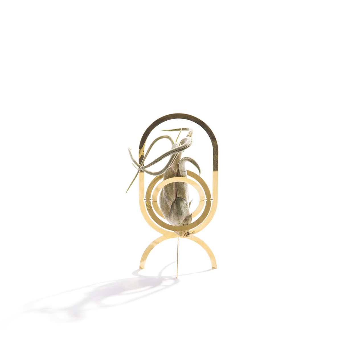 AIR TROPHY- 獎盃盆栽