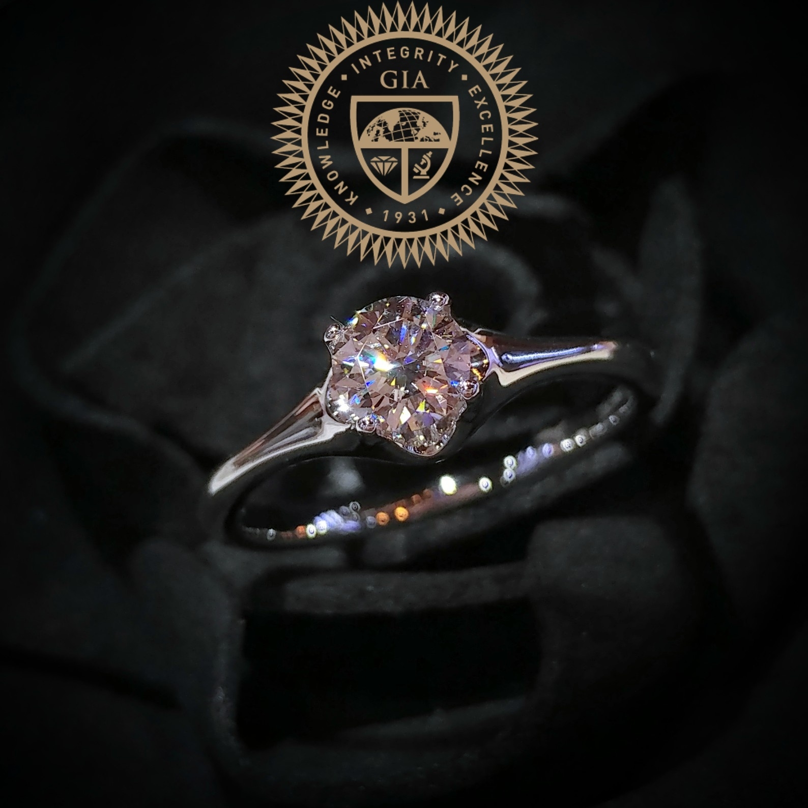 18K White Gold 0.50ct Solitaire Diamond Ring