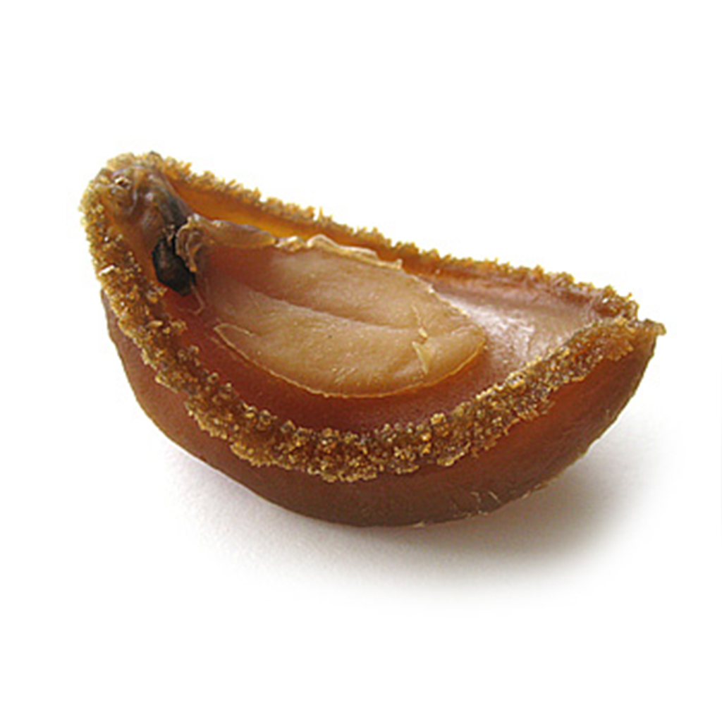 日本皇冠吉品鮑魚 - 48頭 -600g