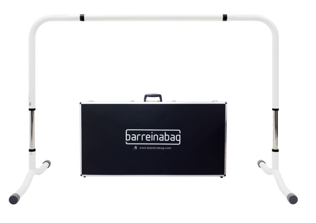 韓國  TZ - Duet Bag 專用攜帶箱【Excl . Bag】