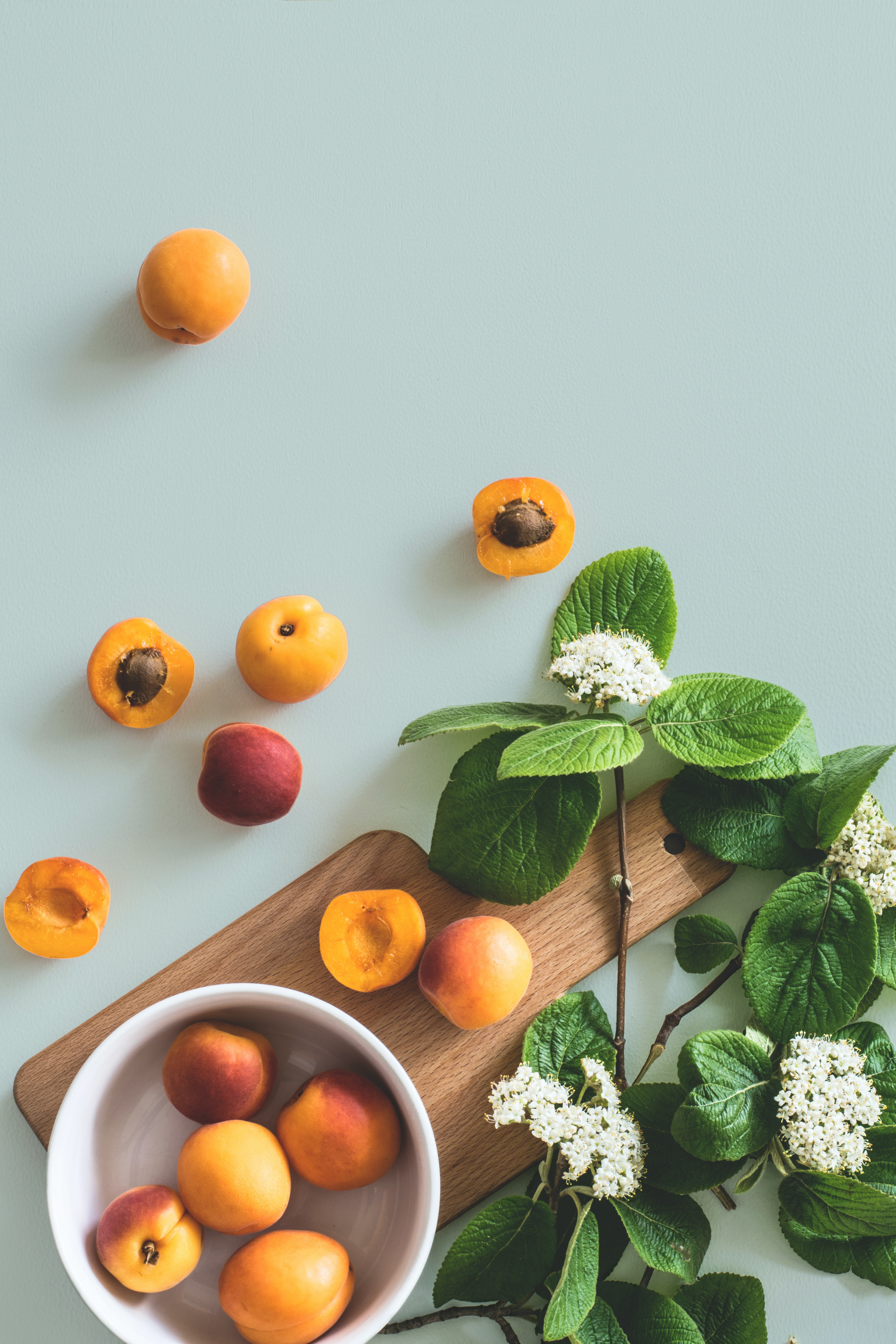 攝影師|御用背景底布|-素色款 【一包三款】