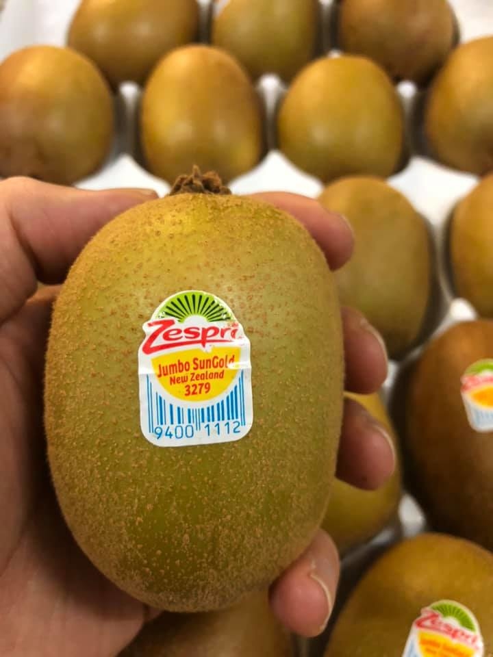 新西蘭金奇異果(8個)