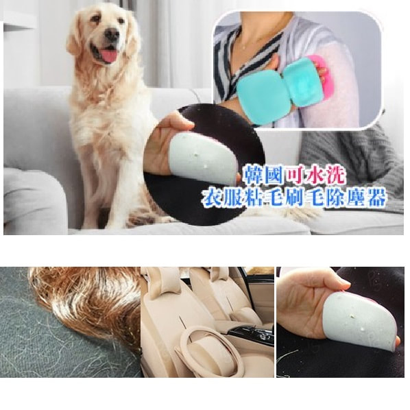 韓國可水洗衣服粘毛刷毛除塵器