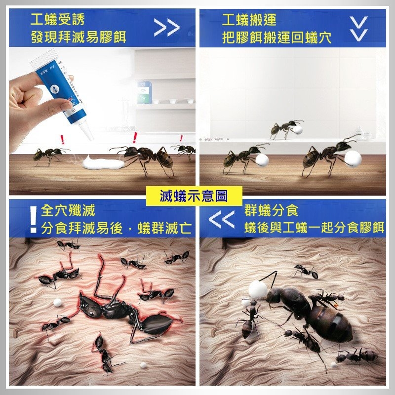 德國 Bayer 螞蟻凝膠餌劑12g(散裝)