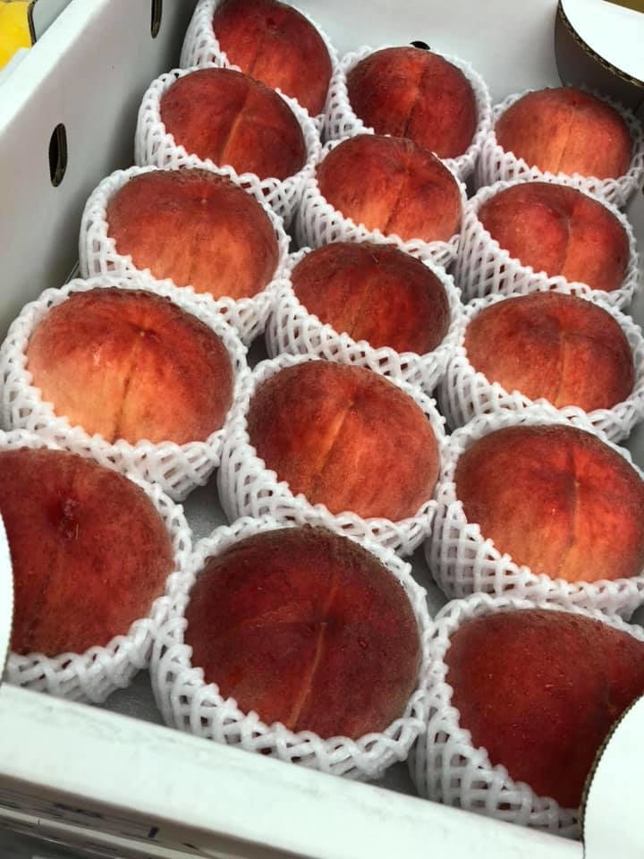 日本山梨「一宮」青秀級/Premium 級水蜜桃一箱(15-18裝)