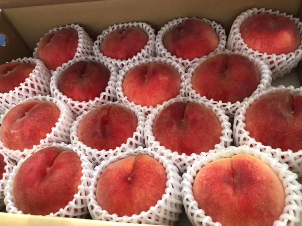 日本山梨「一宮」青秀級/Premium 級水蜜桃一箱(15-18裝)