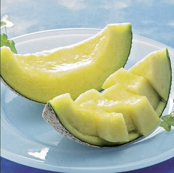 日本青森縣青蜜瓜 Urban Delicious