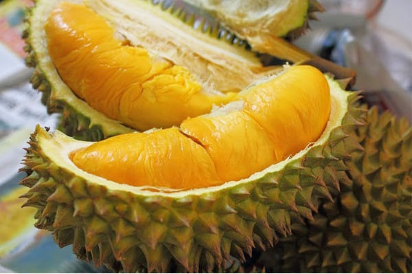 正宗馬來西亞極品D197貓山王榴槤