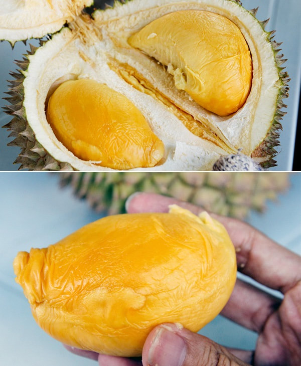 馬來西亞黑刺榴槤D200