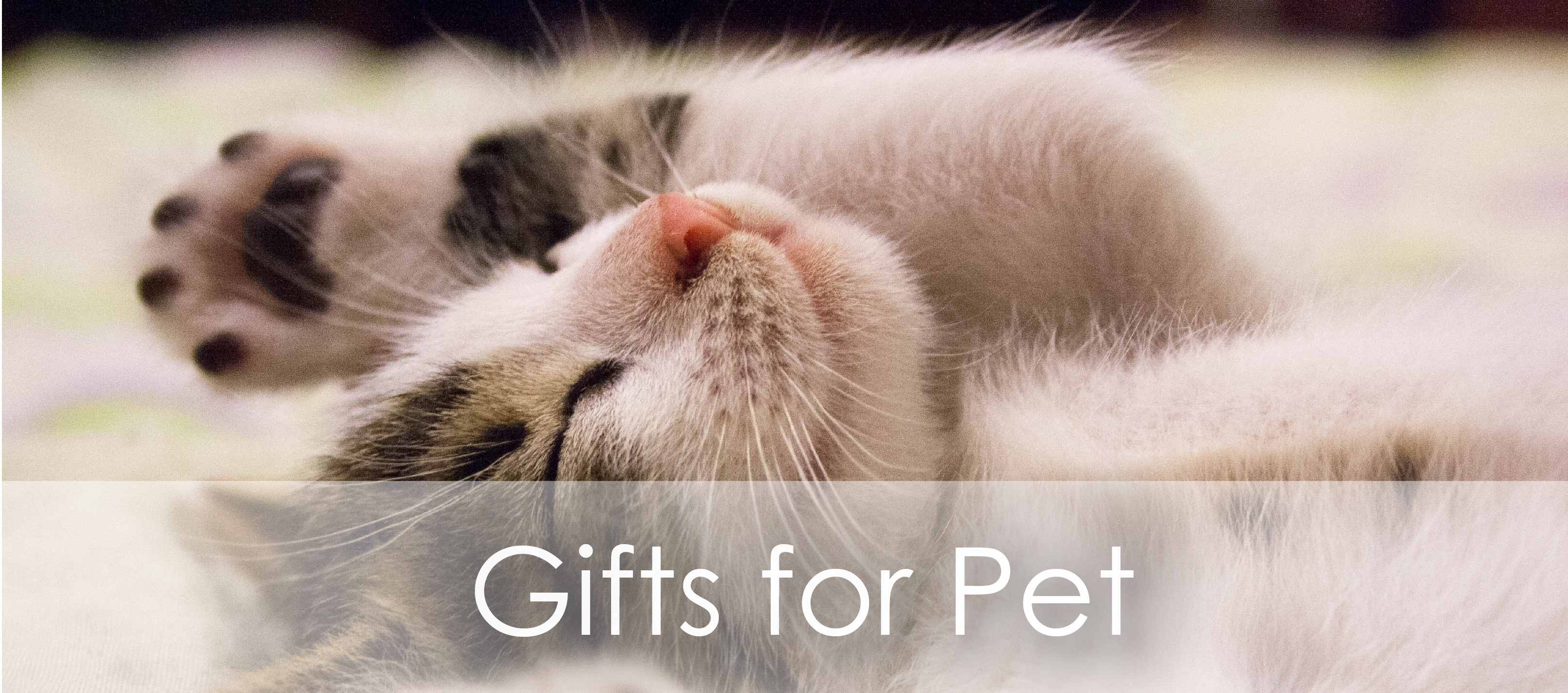customized Gifts for Pet