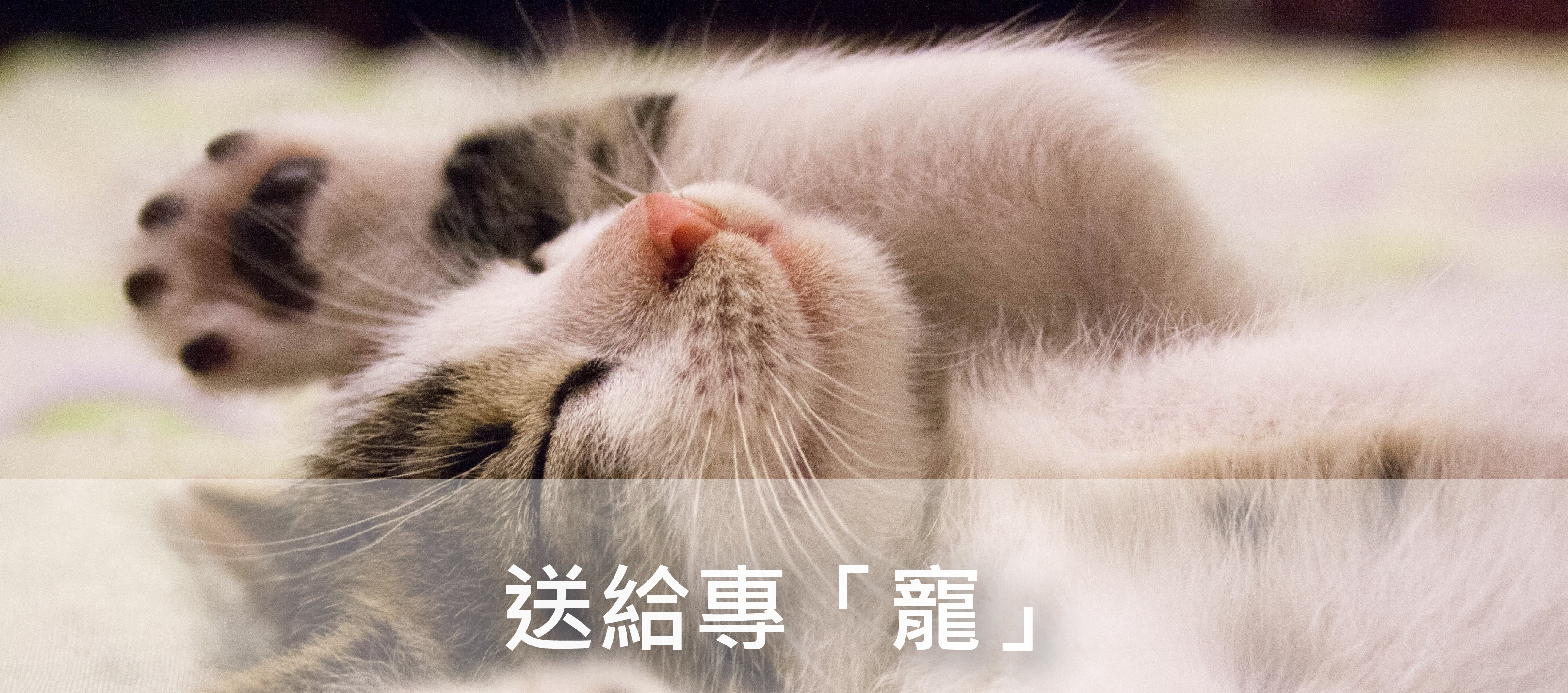 Handmade Gifts, personalized gift , gifts for pet