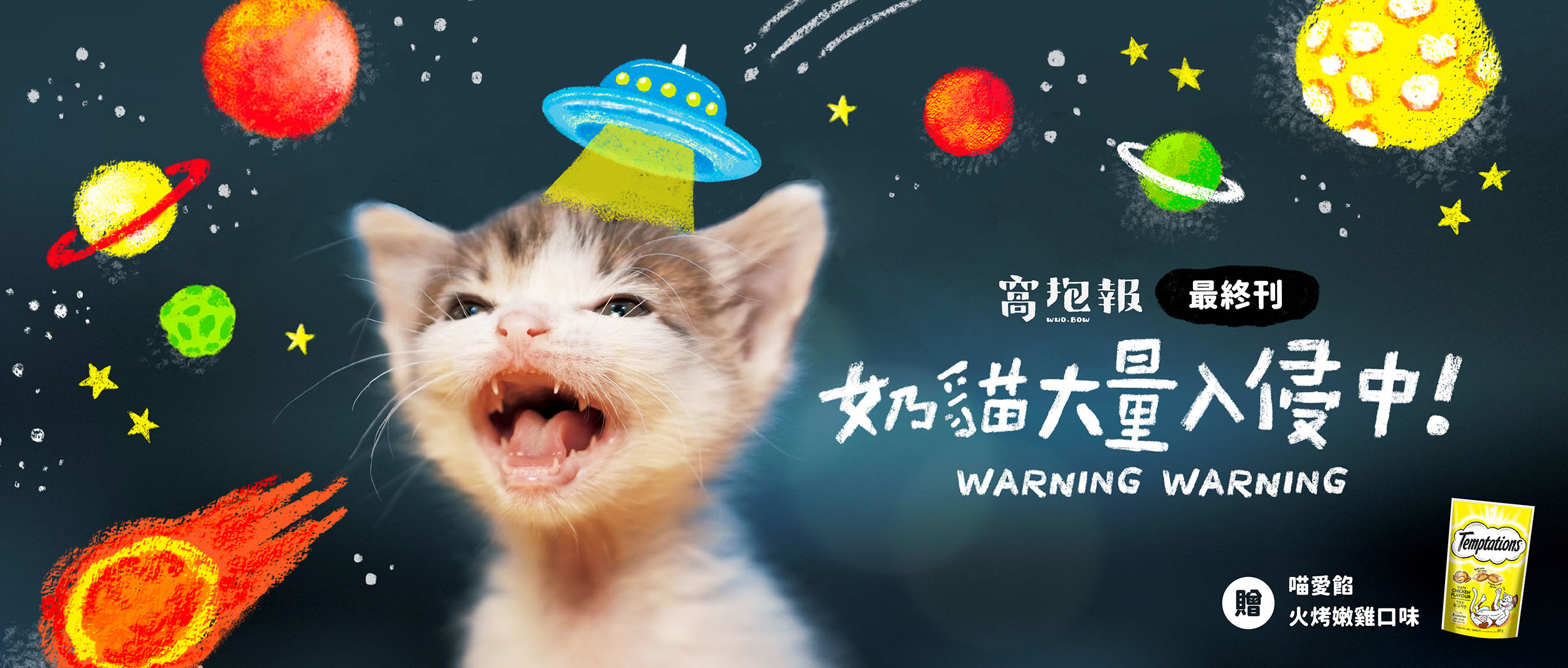 奶貓,雜誌,窩抱報