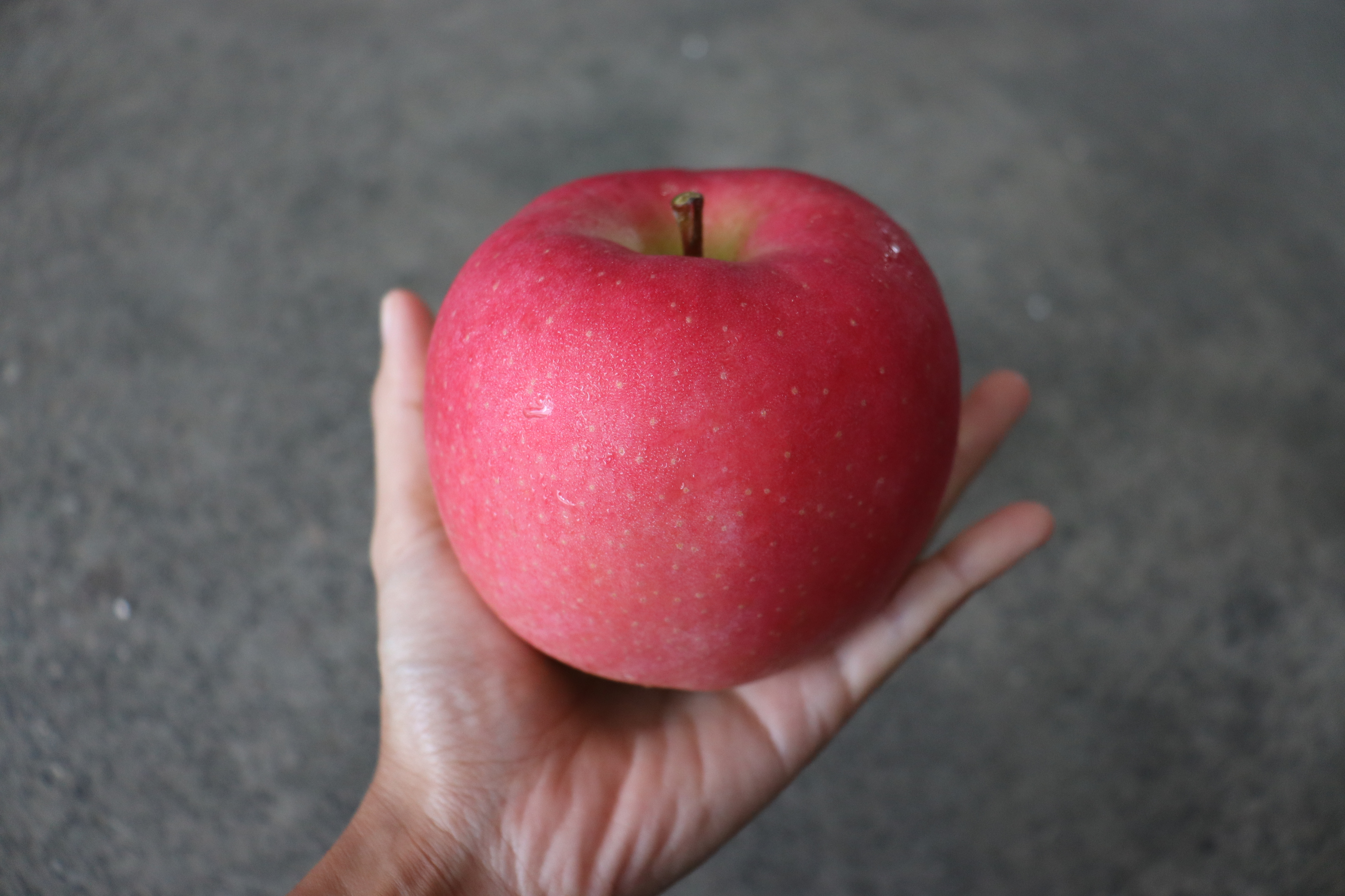 日本陸奧蘋果[22裝]