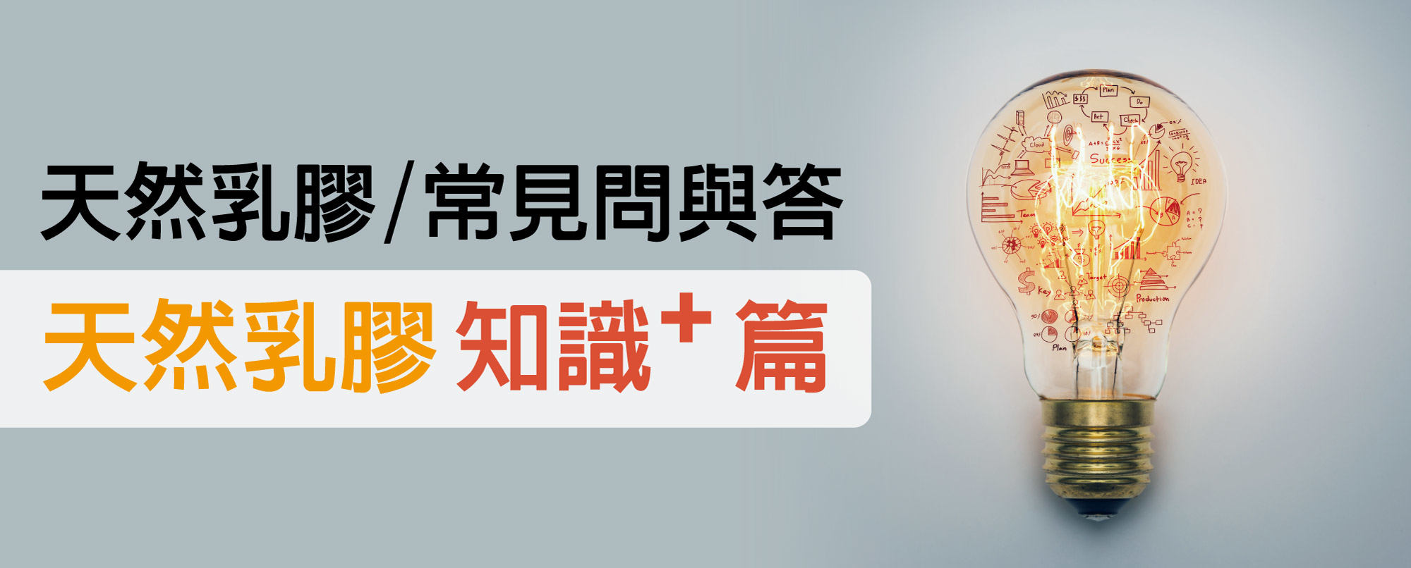 天然乳膠知識篇