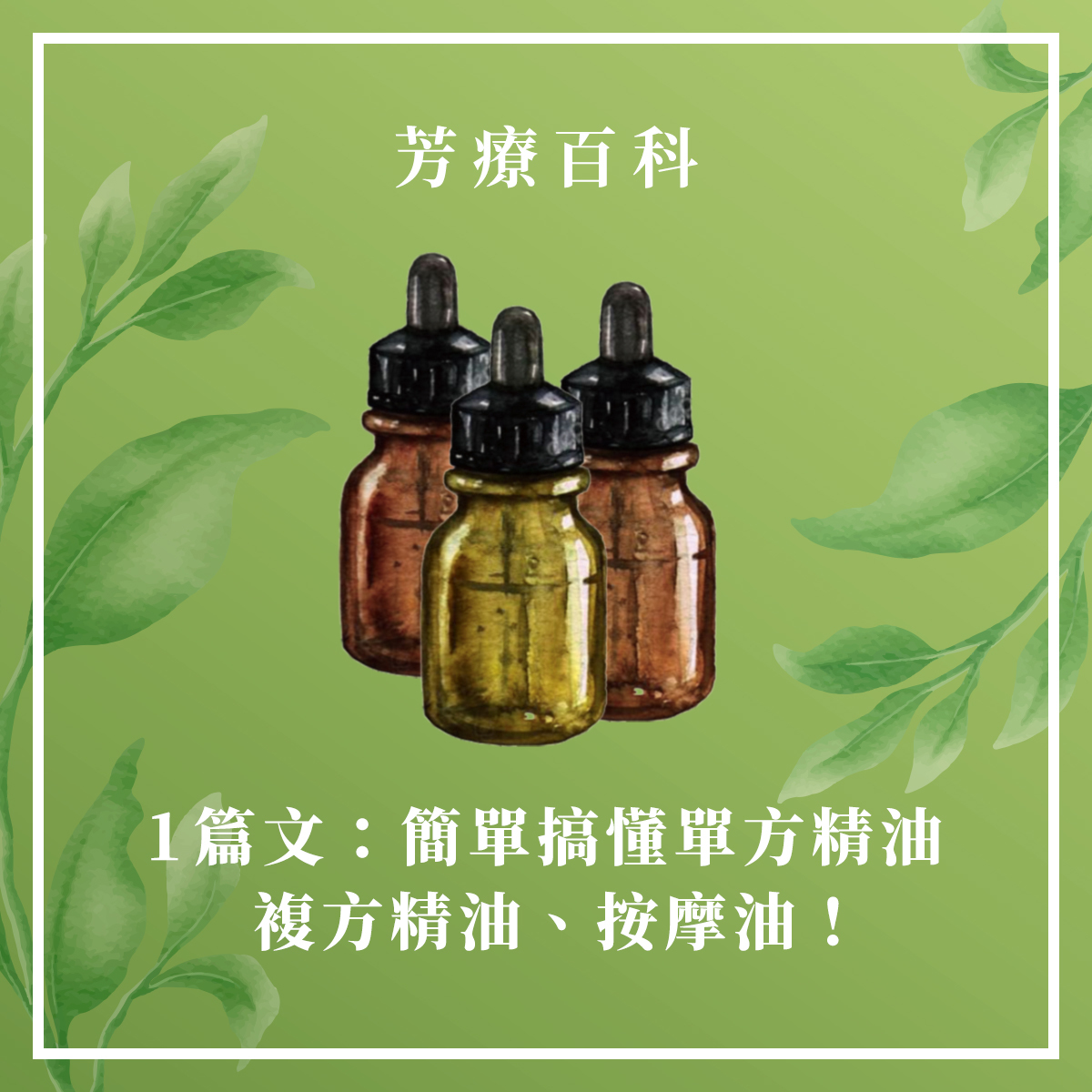 1篇文搞懂單方精油、複方精油、按摩油！