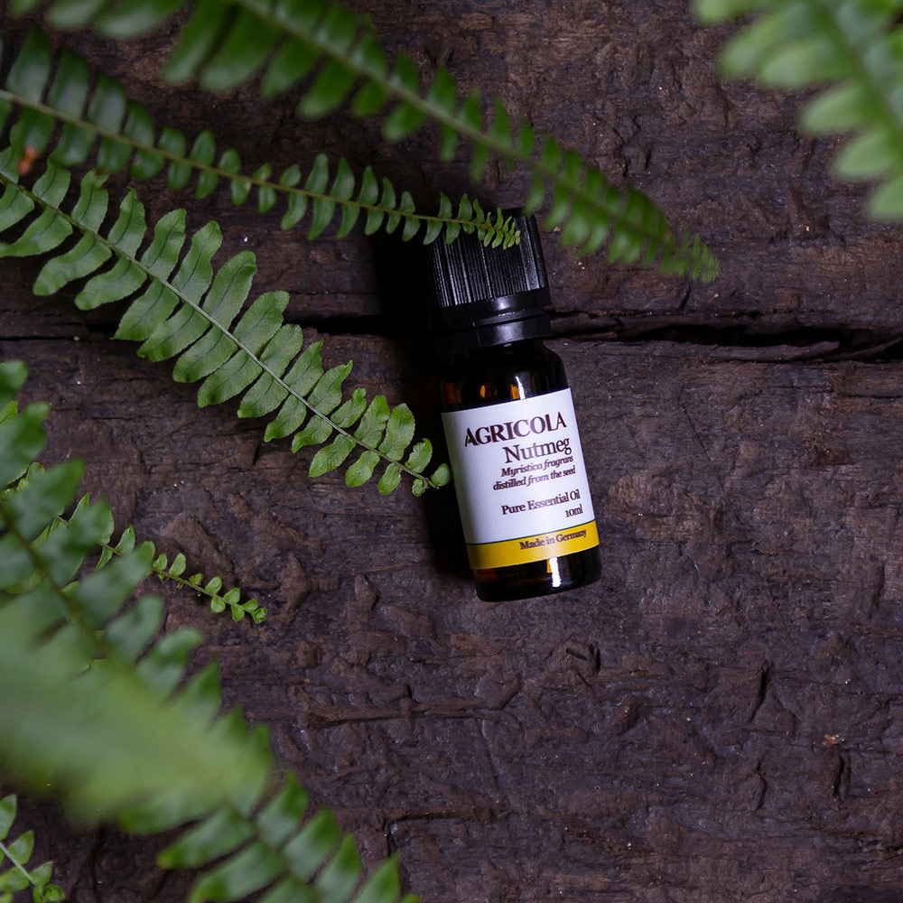 肉豆蔻精油-10ml