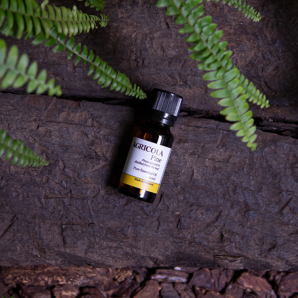 松針葉（歐洲赤松）精油-20ml