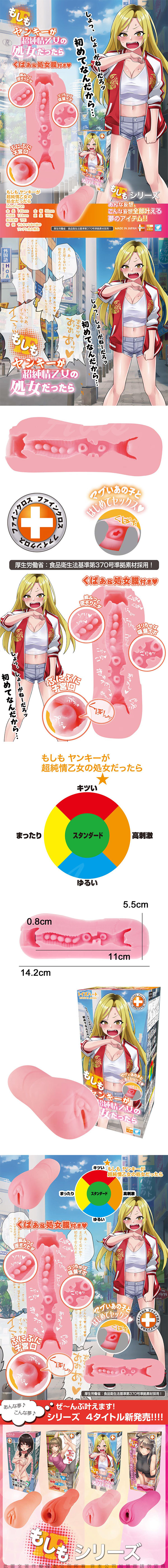 如果不良少女是純情處女 飛機杯