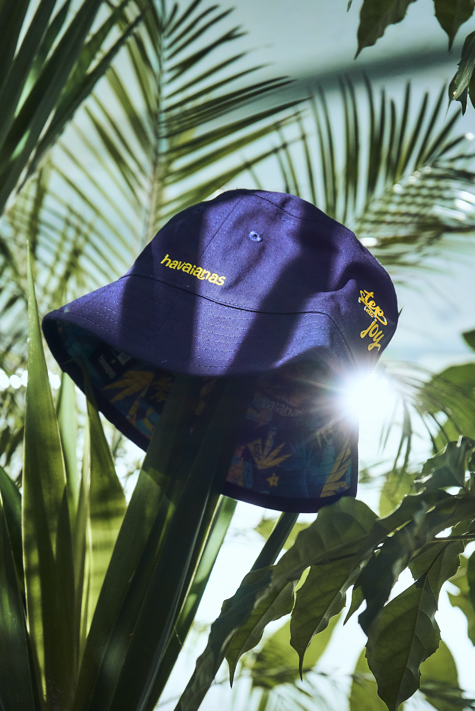 havaianas,哈瓦仕,哈瓦那,涼鞋,拖鞋,人字拖