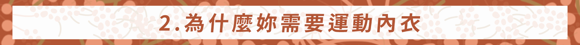 team joined,為什麼需要運動內衣