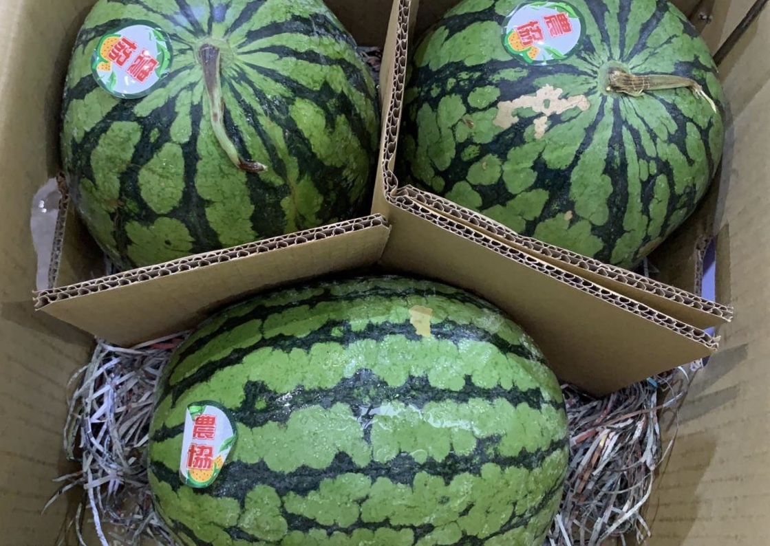 台灣黃肉小西瓜