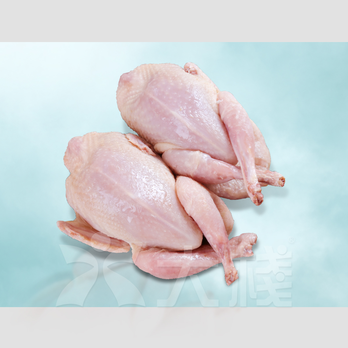 法國急凍鵪鶉 (2隻)